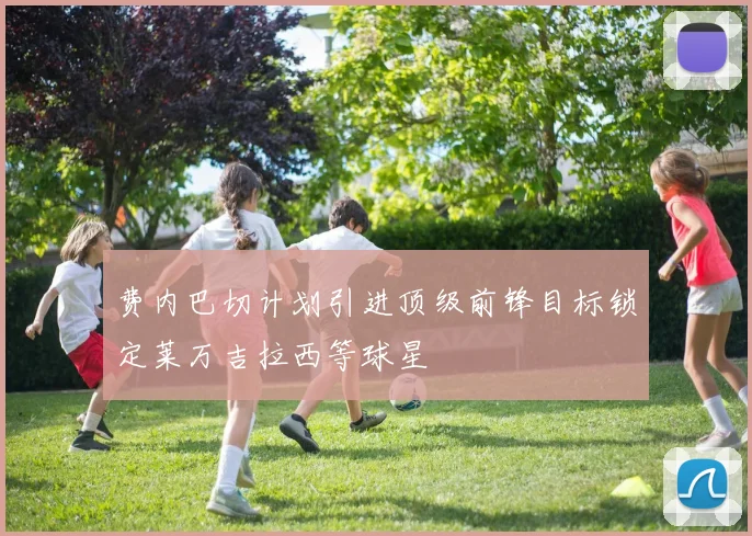 费内巴切计划引进顶级前锋目标锁定莱万吉拉西等球星