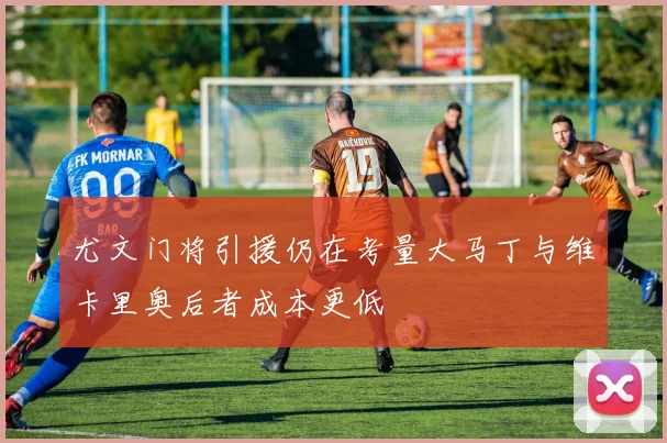 尤文门将引援仍在考量大马丁与维卡里奥后者成本更低