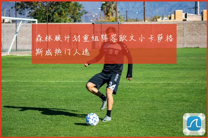 森林狼计划重组阵容欧文小卡萨格斯成热门人选